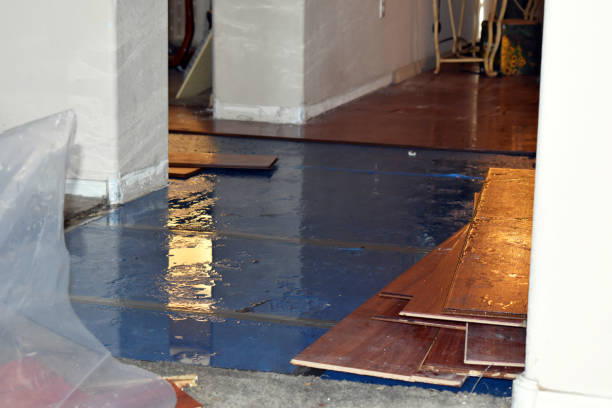 Professional Burst Pipe Cleanup technician working in Chesterfield, IN